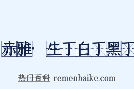 赤雅·生丁白丁黑丁是什么意思的图片